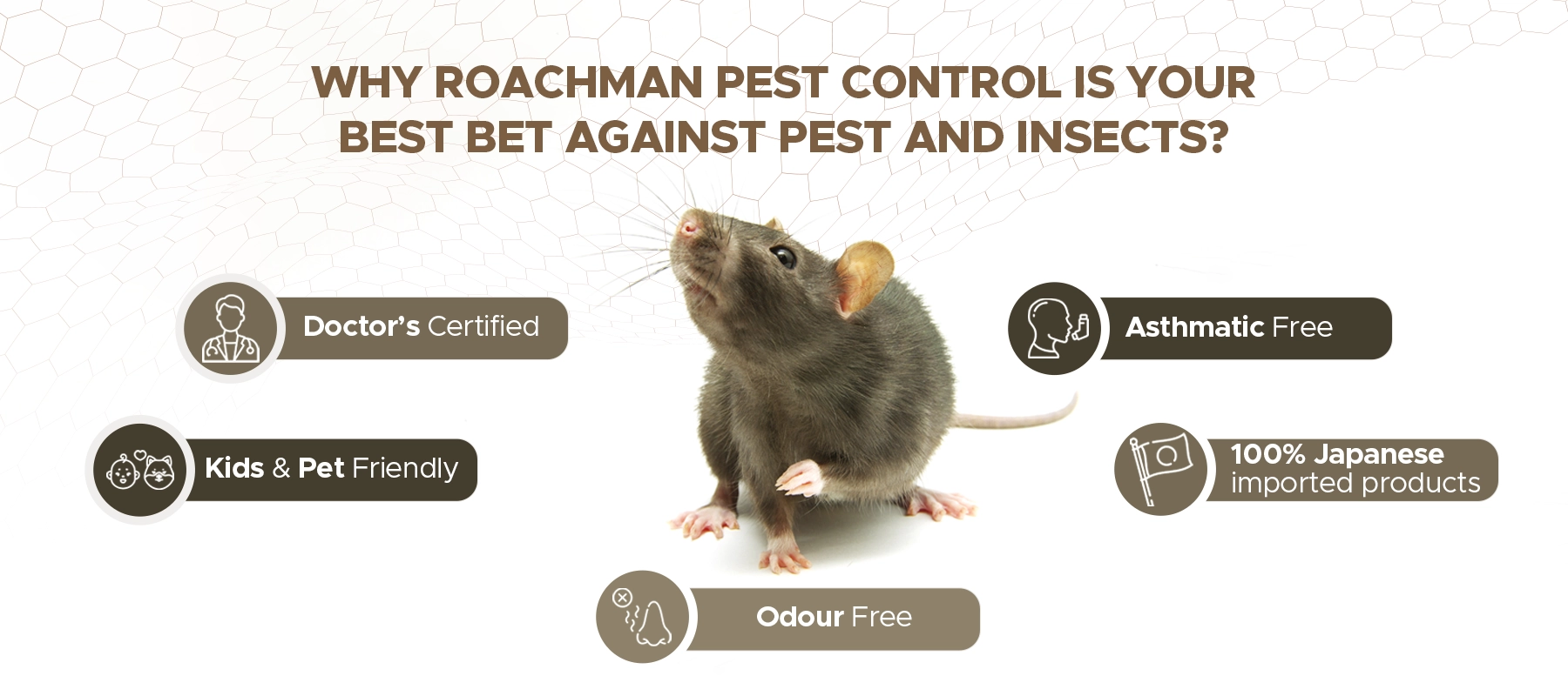 Roachman-rat-01